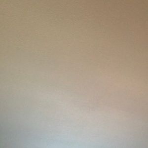 Meet your Posher, Julieta